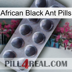 African Black Ant Pills 30